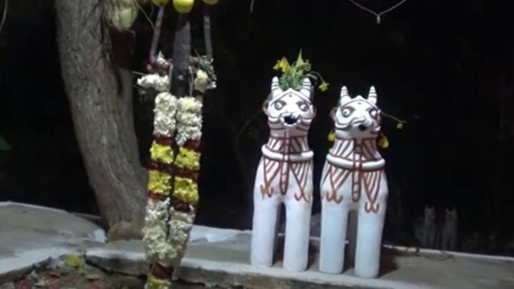 இக்கோயிலில் 28 ஆடுகள், 28 பன்றிகள், 29 சேவல்கள் என சுமார் 2,500 கிலோ கறி சமைக்கப்பட்டதாகவும் அப்பகுதி மக்கள் தெரிவிக்கின்றன. இவ்விழாவில், சுமார் 7,000 பேர் வரை உணவு அருந்தி, விழாவை சிறப்பித்தனர் என்று தகவல் தெரிவிக்கின்றன.