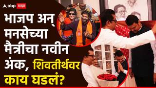 Raj Thackeray Devendra Fadnavis Meet: राजपुत्र अमित ठाकरे आमदार होणार?; भाजप अन् मनसेच्या मैत्रीचा नवीन अंक, 'शिवतीर्थ'वर काय घडलं?