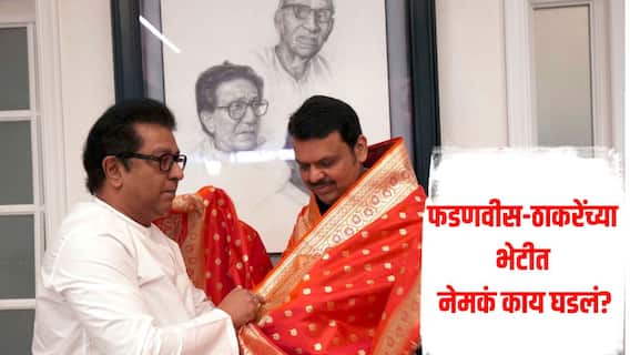मुख्यमंत्री आणि राज ठाकरेंच्या भेटीत नेमकं काय घडलं? कोणत्या विषयावर झाली चर्चा? फडणवीसांची पहिली प्रतिक्रिया