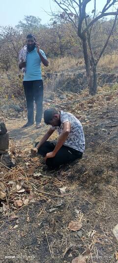 वाईचा पांडवगड चढले..अत्तराच्या वासाने संतप्त मधमाशांनी गिर्यारोहकांवर चढवला हल्ला,6 गंभीर जखमी,2 बेशुद्ध