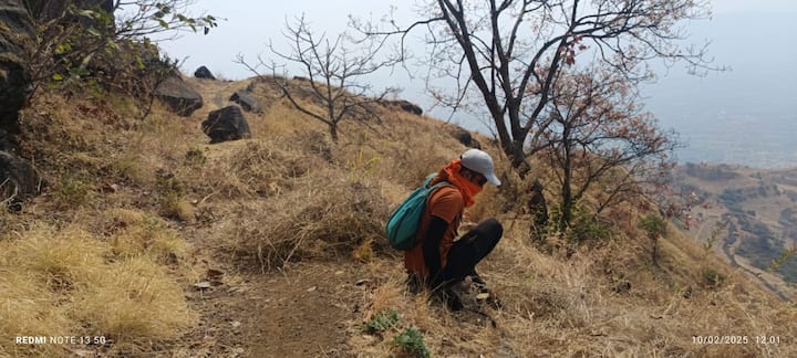 गिर्यारोहकांनी लावलेल्या अत्तराच्या परफ्यूमच्या सुगंधाने मधमाशांचे पोळे विचलित झाले आणि यातूनच मधमाशांच्या पोळ्याने थेट गिर्यारोहकांवर हल्ला चढवला आहे.