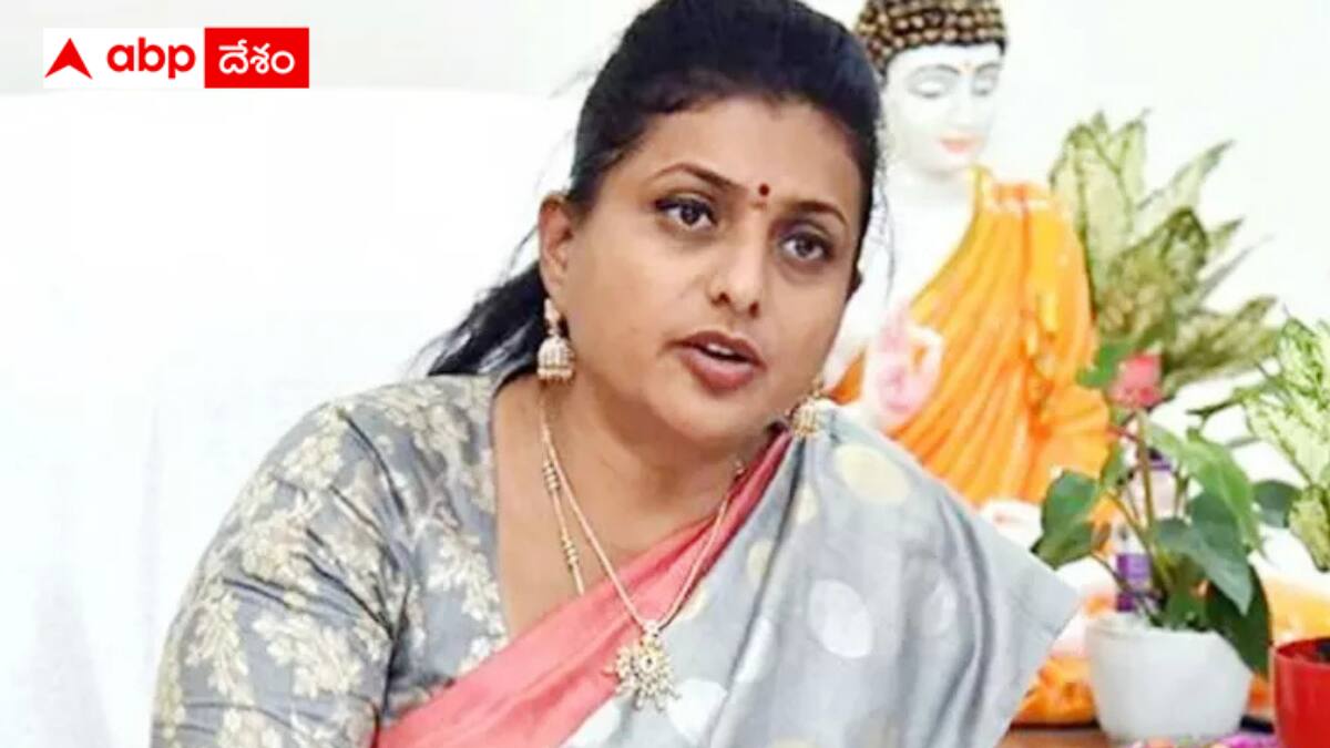Shock To Roja: వైసీపీలోకి నగరి ఎమ్మెల్యే సోదరుడు - రోజాకు చెక్ పెట్టడానికి పెద్దిరెడ్డి స్కెచ్ వేశారా ?