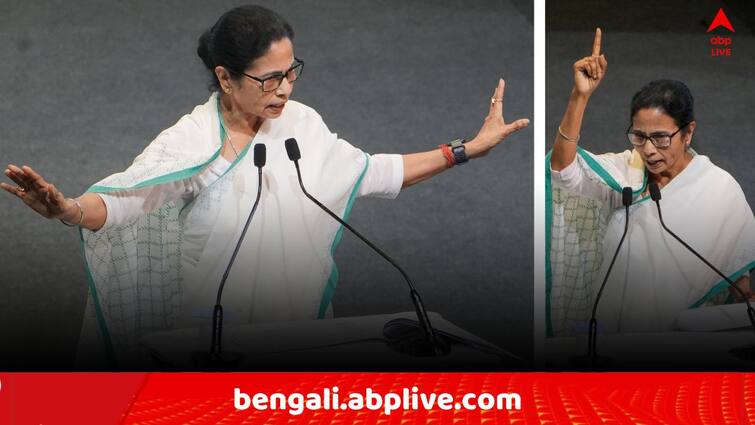 Mamata Banerjee may will punished on in spite of party member who are given statement against TMC Mamata Banerjee: তৃণমূলে দলবিরোধী মন্তব্যে রুষ্ট মমতা, 'এদেরকে বারবার ক্ষমা করা যায় না' ! কাদেরকে ইঙ্গিত ?