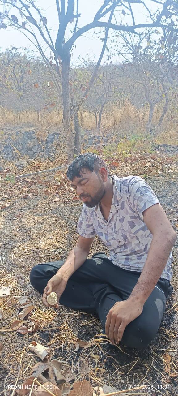 गिर्यारोहकांच्या अंगावर माशा चिकटलेल्या असून त्या माशांना काढण्याचं काम संबंधित मदतनीसांकडून केलं जात आहे. अद्यापही जखमींवर घरगुती उपाय केले जात आहेत.