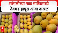 Devgad Hapus In Sangli : सांगलीच्या फळ मार्केटमध्ये देवगड हापूस आंबा दाखल