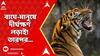 Tiger Fear: āĻŽā§āĻĒā§āĻ ā§ āĻĢā§āϰ āĻŦāĻžāĻā§āϰ āĻšāĻžāĻŽāϞāĻž! āĻŦāĻžāĻā§-āĻŽāĻžāύā§āώ⧠āĻĻā§āϰā§āĻāĻā§āώāĻŖ āϞāĻĄāĻŧāĻžāĻ āĻāϞā§