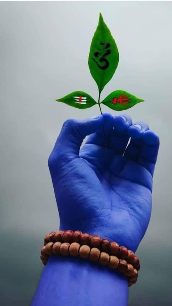 महाशिवरात्रि के दिन क्या बेलपत्र तोड़ सकते हैं ?