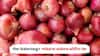 Nashik Crime : गोवा फेडरेशनकडून 'नाफेड'ला साडेपाच कोटींना गंडा, 1500 टन कांद्याची चढ्या दराने परस्पर विक्री; नेमकं प्रकरण काय?