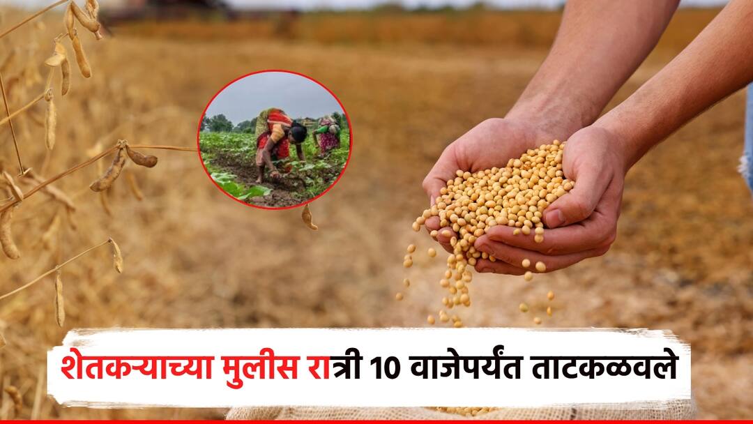 Malpractice by officials at soybean center The farmer daughter searched late into the night for an empty sack in yavatmal धक्कादायक! सोयाबीन केंद्रावर अधिकाऱ्यांचा गैरव्यवहार; रिकाम्या पोत्यासाठी शेतकरीकन्येस रात्री उशिरापर्यंत ताटकळवले