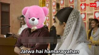 जलवा है Teddy का यहां! प्यार में डूबे लोगों को लेकर जमकर शेयर हो रहे मीम, खूब मजे ले रहे लोग