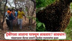 वाईचा पांडवगड चढले..अत्तराच्या वासाने संतप्त मधमाशांनी गिर्यारोहकांवर चढवला हल्ला,6 गंभीर जखमी,2 बेशुद्ध