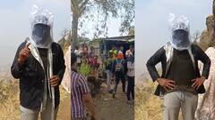 पांडवगडावर इंदापूरमधील गिर्यारोहकांवर मधमाशांचा शॉकींग स्ट्राईक; 2 बेशुद्ध, 4 जखमी