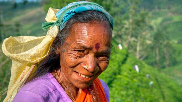 चारचाकी वाहनाच्या निकषाची कठोरपणे अंमलबजावणी केल्यानंतर सरकारकडून आता लाडक्या बहीण योजनेचे खरे लाभार्थी शोधण्यासाठी आणखी एका गोष्टीची मदत घेतली जाणार आहे. राज्य सरकारने लाभार्थी महिलांच्या आयकराबाबतची माहिती प्राप्तीकर विभागाकडून मागवली आहे. ही माहिती आल्यानंतर मुंबई, कोकण, उत्तर महाराष्ट्र, विदर्भ आणि मराठवाडा या भागात अपात्र लाडक्या बहिणींची खरी संख्या समोर येणार आहे.