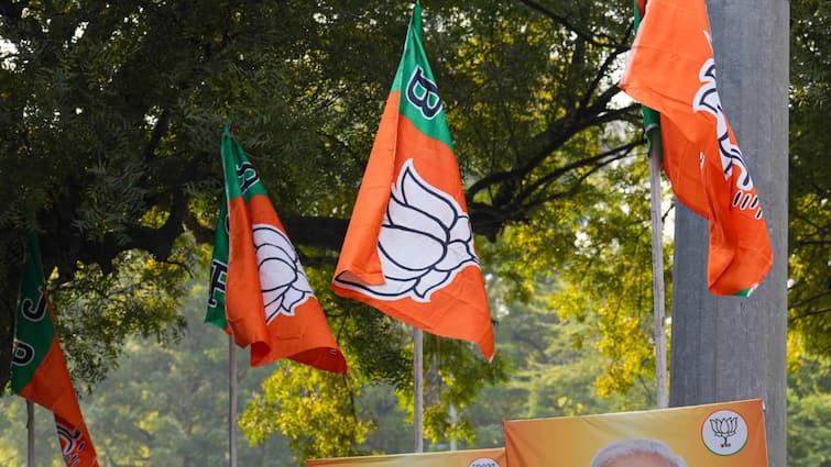 BJP's Local Body Election Victory in Gujarat Surpasses Assembly Election Triumph સ્થાનિક સ્વરાજ્યની ચૂંટણીમાં વિધાનસભા કરતાં પણ ભાજપનો ઐતિહાસિક વિજય, જાણો ચોંકાવનારા આંકડા