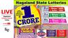 LIVE | Nagaland Lottery Sambad TUESDAY (11.02.2025) Result: Dear GOOSE Evening 8PM Draw OUT - 1st Prize Ticket No. 92K 56414
