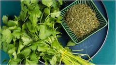 Tips to Store Coriander : కొత్తిమీర పాడవకుండా ఎక్కువరోజులు నిల్వ ఉండాలంటే ఈ టిప్స్ ఫాలో అయిపోండి