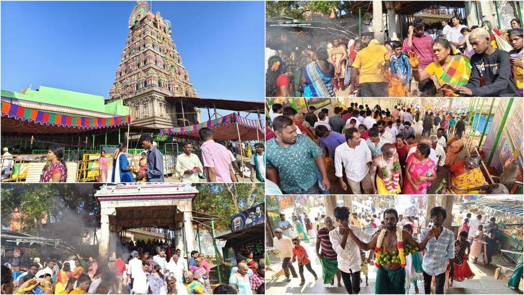 Thai Poosam 2025 : பால் காவடி, பன்னீர் காவடி.. மயிலத்தில் களைகட்டிய தைப்பூசம்...!