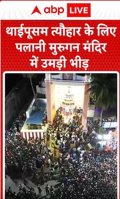 Breaking News: Large Crowd Gathers at Palani Murugan Temple for Thaipusam Festival | ABP NEWS