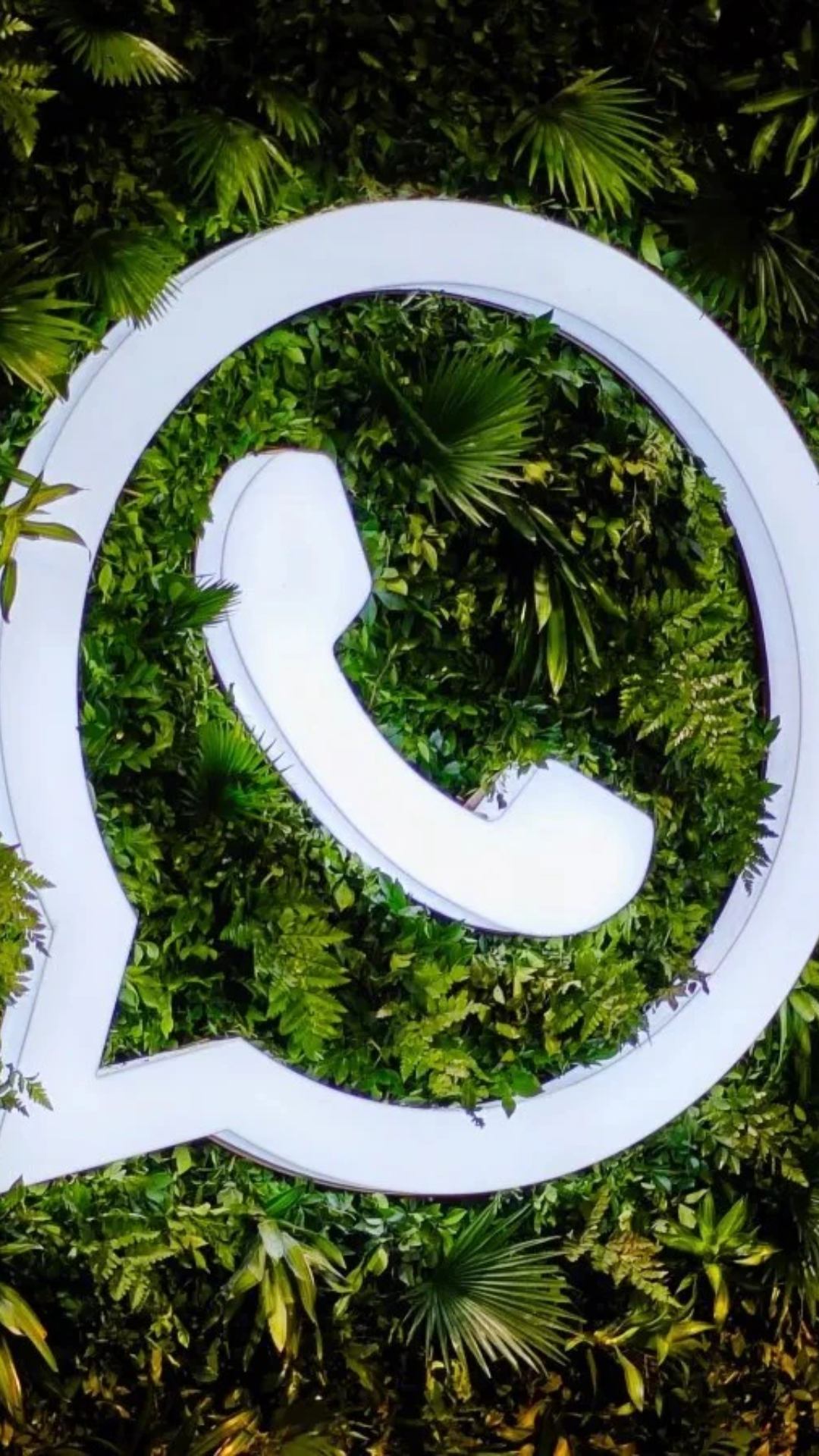WhatsApp पर किसी को ब्लॉक करना चाहते है, लेकिन पता नहीं कैसे होगा तो चिंता की बात नहीं है.