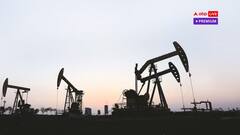 अमेरिका हो या इजरायल, भारत की मिडिल ईस्ट के इन देशों से दोस्ती है काफी अहम