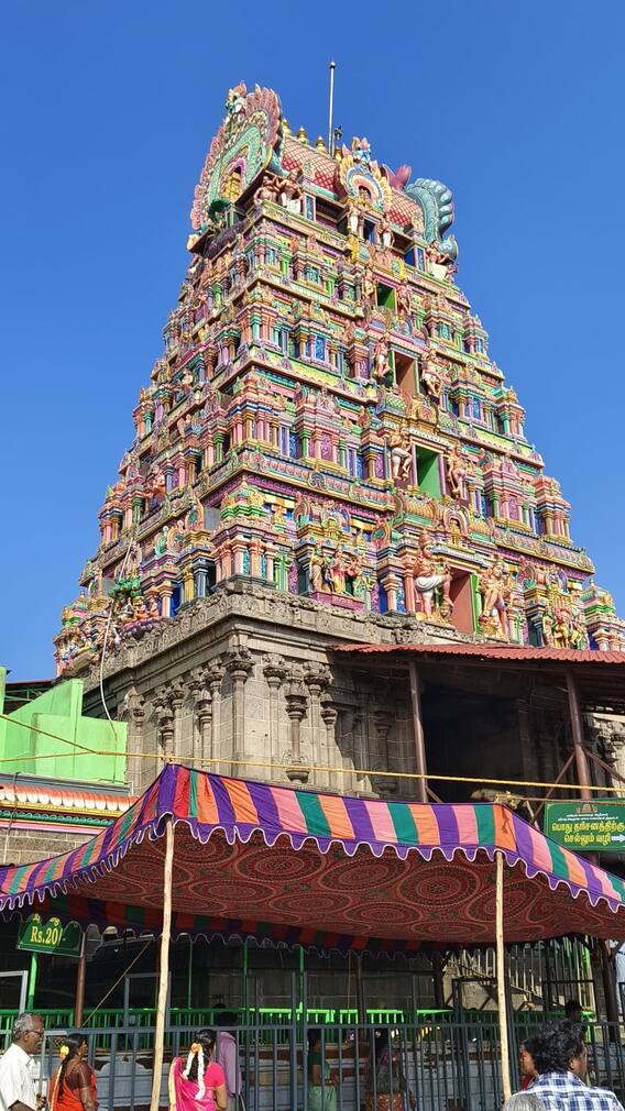 Thaipusam 2025: தைப்பூசம் திருநாள் லட்சக்கணக்கில் குவிந்து பக்தர்கள்