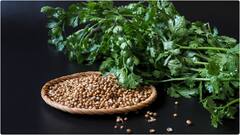 Tips to Store Coriander : కొత్తిమీర పాడవకుండా ఎక్కువరోజులు నిల్వ ఉండాలంటే ఈ టిప్స్ ఫాలో అయిపోండి