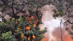 Mumbai Fire: 12 सिलेंडरचा धडाधड स्फोट, 25 दुकानं जळाली; मुंबईतील ओशिवरामध्ये भीषण आग, अग्निशमन दलाच्या गाड्या रवाना, PHOTO