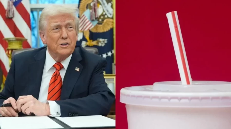 Donald Trump: పేపర్ స్ట్రాలు బ్యాన్, ప్లాస్టిక్‌కు గ్రీన్ సిగ్నల్ - ట్రంప్ మావతో మామూలుగా ఉండదు