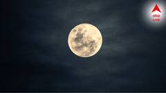 Magh Purnima: মাঘী পূর্ণিমায় সৌভাগ্যের বান কপালে, সম্পত্তি-টাকার প্রাপ্তিযোগ এই রাশিতে