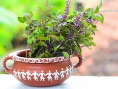 Magh Purnima 2025: माघ पूर्णिमा तुलसी में चढ़ा दें ये 1 चीज, दौड़ी चलीं आएंगी मां लक्ष्मी