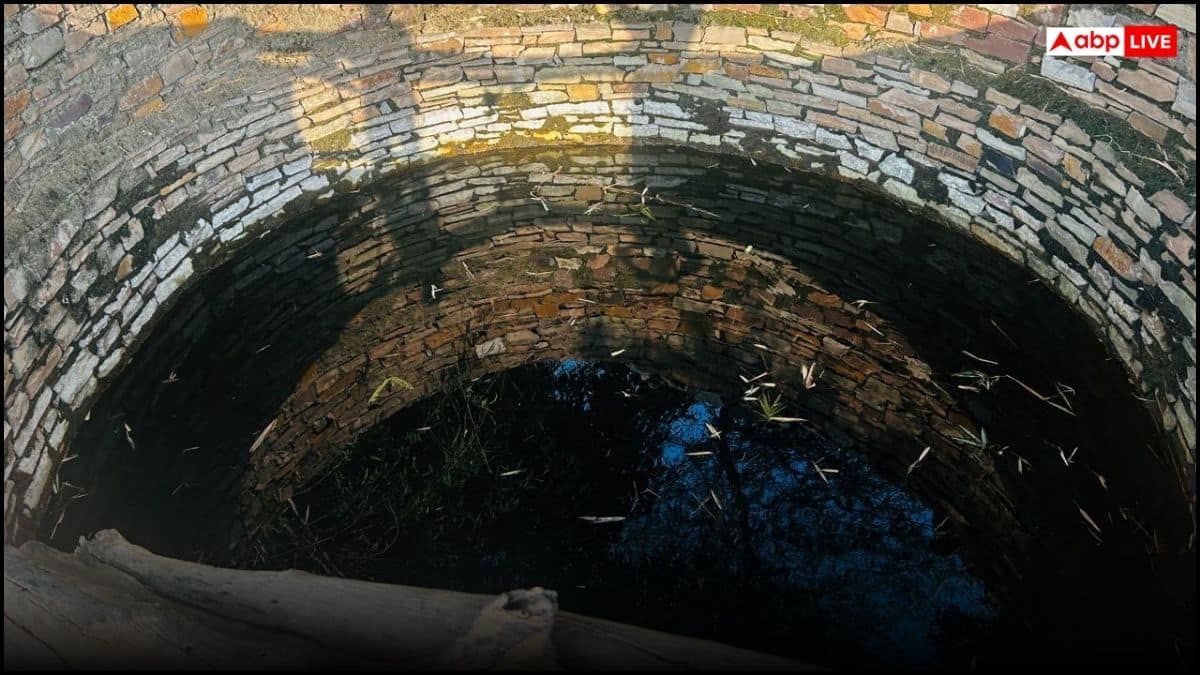 कांटों को चुनकर 'जल सहेलियों' ने दिखाया हरियाली का रास्ता, 25 साल से नहीं होने दिया एक भी बोरिंग