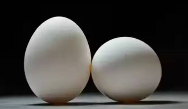 નાસ્તામાં ઈંડા સૌથી વધુ પસંદ કરવામાં આવે છે. જો તમે માંસાહારી છો તો ઈંડાનું સેવન તમારા માટે પ્રોટીન મેળવવા માટે સારો વિકલ્પ બની શકે છે. પરંતુ શું તમે જાણો છો કે એક દિવસમાં કેટલા ઈંડા ખાવા જોઈએ ?