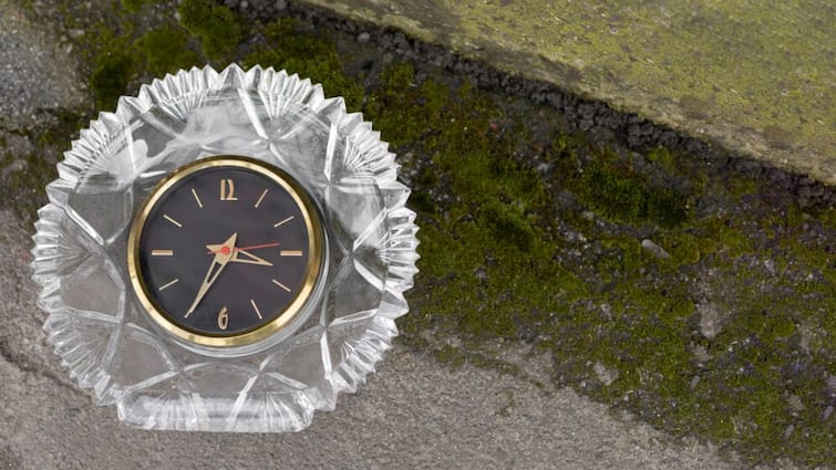 Death Clock claims to predict When and how You Will Die here are details इस वेबसाइट ने किया सनसनीखेज दावा! AI-पावर्ड 'Death Clock' से लगा सकती है आपकी मौत की तारीख का अनुमान