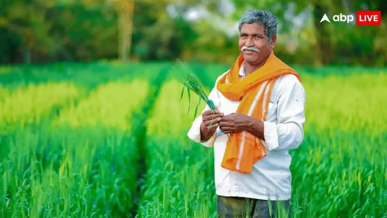 pm kisan yojana next installment will be released on this date farmers needs to complete this thing before it इस तारीख को किसानों को मिलेगी बड़ी खुशखबरी, नहीं किया ये काम तो पछतायेंगे