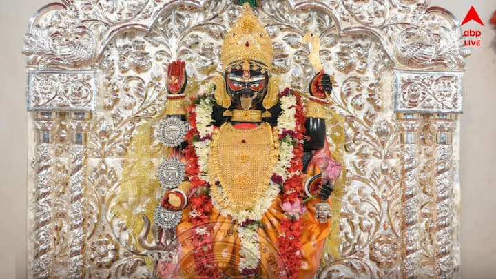 মন্দিরে দণ্ডি কাটতে পারেন যে কেউ। তাঁর সঙ্গে একজন থাকতে পারেন। এঁদের লাইন দিতে হয় না। আগের দিন নিরামিষ খেয়ে , ওইদিন নতুন বস্ত্র পরে দণ্ডি কাটা যায়।