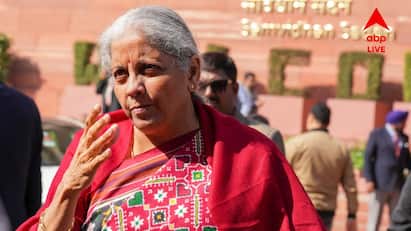 তৃণমূল মানে 'গ্রাস রুট'...যা সাধারণ মানুষের বঞ্চনার প্রতীক হয়ে গিয়েছে: কেন্দ্রীয় অর্থমন্ত্রী