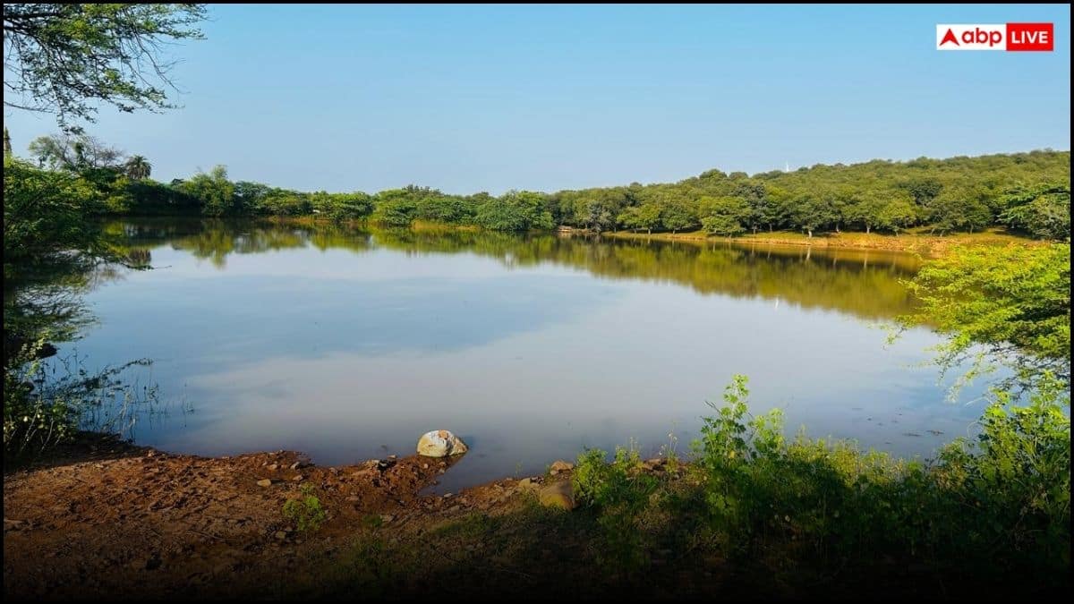 कांटों को चुनकर 'जल सहेलियों' ने दिखाया हरियाली का रास्ता, 25 साल से नहीं होने दिया एक भी बोरिंग