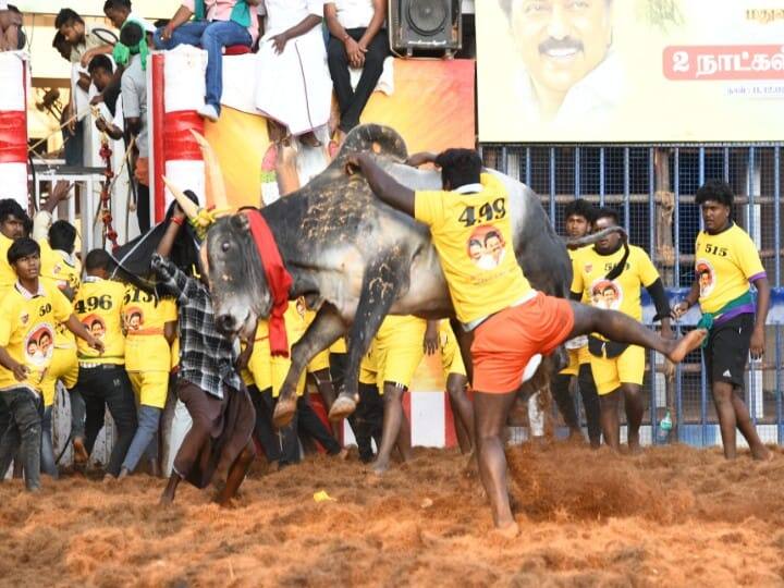ஜல்லிக்கட்டு அனைத்து காளைகளுக்கும், காளை உரிமையாளருக்கும் வேட்டி துண்டு அணிவித்து மரியாதை செய்து, டிபன் பாக்ஸ் பரிசு வழங்கி வாடிவாசல் வழியாக அனுமதிக்கப் படுகின்றனர்.