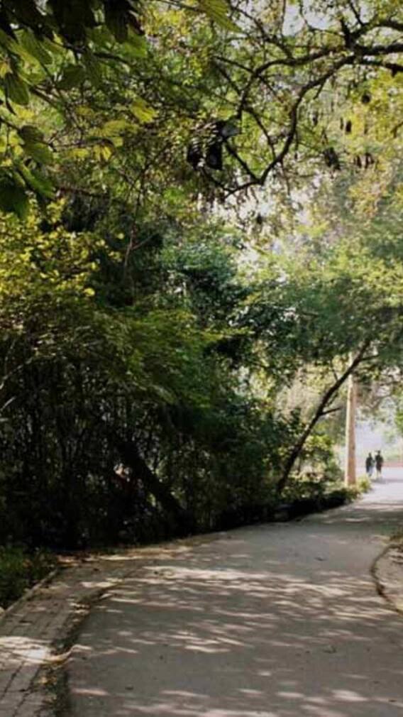 वैलेंटाइन्स डे पर लखनऊ में कहां-कहां घूम सकते हैं?