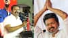 Seeman on Vijay : “பணக் கொழுப்பு” விஜய் பற்றிய கேள்விக்கு சீமான் பரபரப்பு கருத்து..!