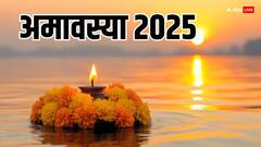 Falgun Amavasya 2025: फाल्गुन अमावस्या कब है, इस दिन क्या करें कि पितर हो जाएं प्रसन्न