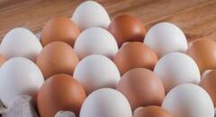 વધારે પ્રમાણમાં ઈંડા ખાવાથી શું થાય, જાણો રોજ કેટલા ખાવા