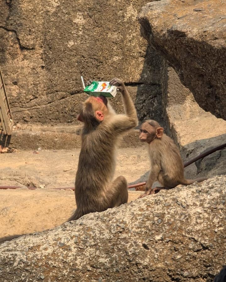 Fans flooded the comments with excitement, praising Maitreyi for meeting Jyotika. One user even expressed hope for a future collaboration between the two actors.