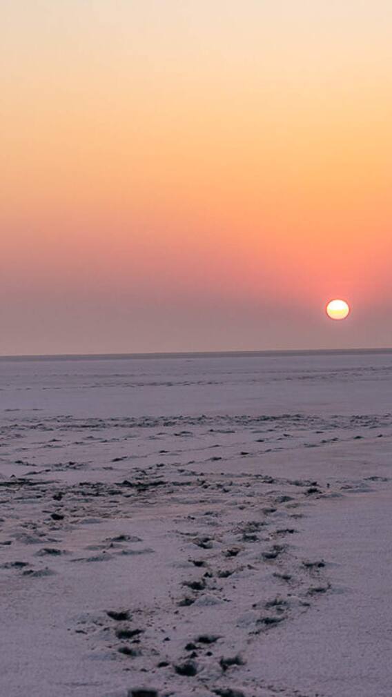 बर्फ सी सफेद रेत वाला गुजरात का कच्छ, जानें कुछ दिलचस्प बातें