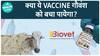 भारत की पहली स्वदेशी Lumpy Skin Disease Vaccine| | Health Live