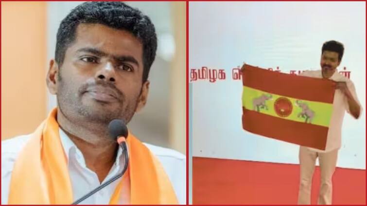 Annamalai Teases TVK for Creating ChildrenWing in its Party Annamalai Vs TVK: தவெக-வை நக்கலடித்த அண்ணாமலை... என்ன சொல்லியிருக்கார் தெரியுமா.?