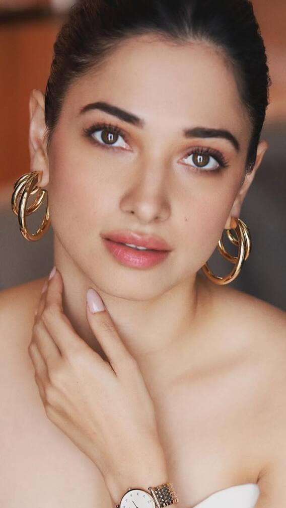 ਤਮੰਨਾ ਭਾਟੀਆ ਤੇ ਵਿਜੈ ਵਰਮਾ ਦਾ ਹੋਇਆ ਬ੍ਰੇਕਅੱਪ? ਜਾਣ ਲਓ ਵਜ੍ਹਾ