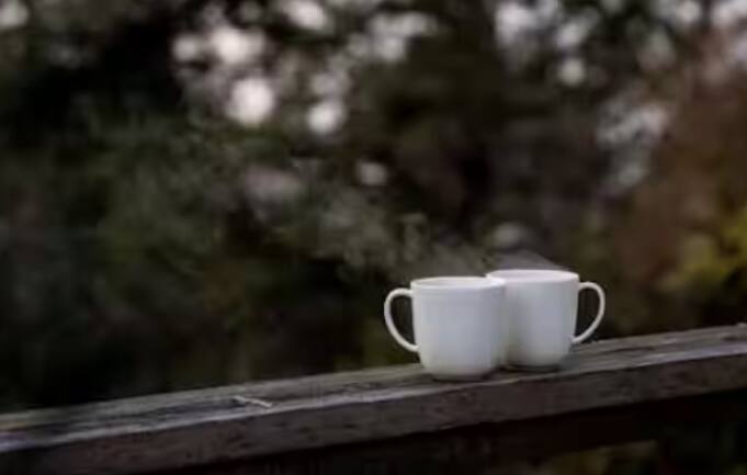 ਤੁਹਾਨੂੰ ਦੱਸ ਦਈਏ ਕਿ ਕੰਬੋਡੀਆ ਵਿੱਚ ਲੋਕ ਚਾਹ ਦੇ ਨਾਲ ਭੁੰਨੀ ਹੋਈ ਮੱਕੜੀ ਖਾਣਾ ਪਸੰਦ ਕਰਦੇ ਹਨ। ਭੁੰਨੀ ਹੋਈ ਮੱਕੜੀ ਬਹੁਤ ਸਾਰੇ ਲੋਕਾਂ ਦੀ ਪਸੰਦੀਦਾ ਡਿਸ਼ ਹੁੰਦੀ ਹੈ। ਇਸ ਨੂੰ ਤੁਸੀਂ ਚਾਹ ਦੇ ਨਾਲ ਸਨੈਕ ਦੇ ਤੌਰ 'ਤੇ ਖਾਂਦੇ ਹੋ।