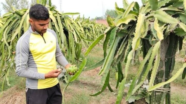 पीएम किसान सन्मान निधी योजनेच्या अधिकृत एक्स खात्यावरुन 19 व्या हप्त्याबाबत अपडेट देण्यात आली आहे.