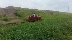 PM Kisan : पीएम किसानच्या  19 व्या हप्त्याचे 2000 रुपये कधी मिळणार? सरकारकडून पहिल्यांदा अधिकृत अपडेट